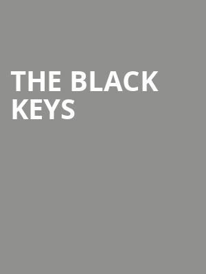 The Black Keys, Van Andel Arena, Grand Rapids