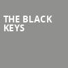 The Black Keys, Van Andel Arena, Grand Rapids
