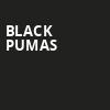 Black Pumas, Frederik Meijer Gardens, Grand Rapids